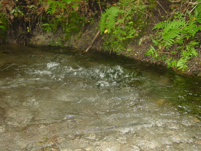 ナイベツ川湧水