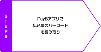 payB3.png