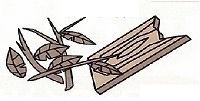 kusaki.jpg