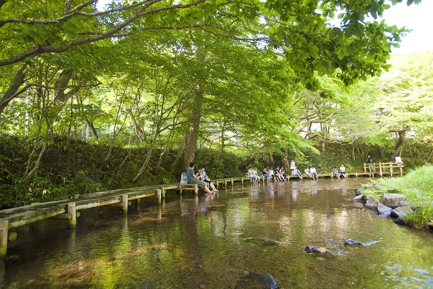 公園に隣接する内別川沿いの散策路（木道）