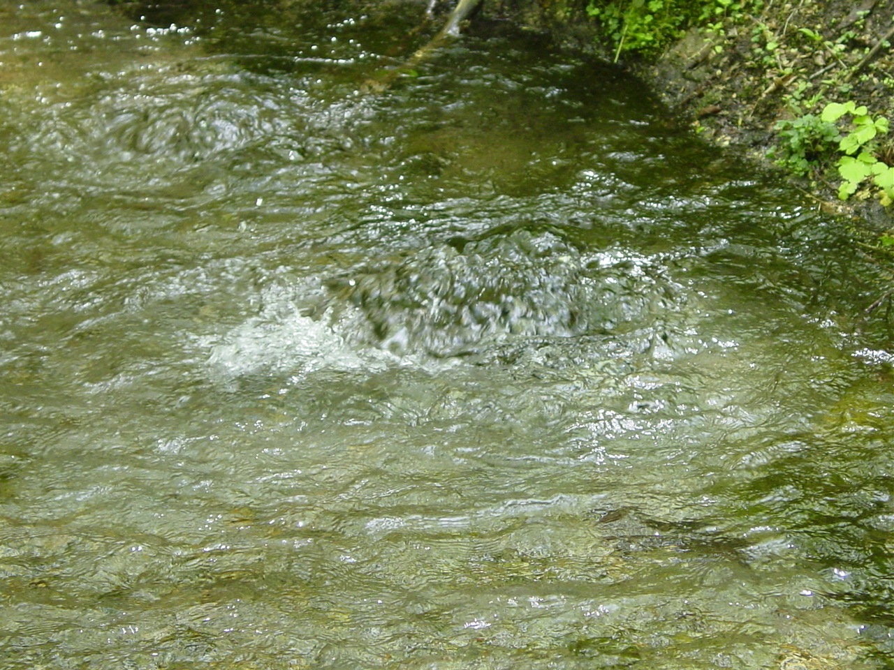 ナイベツ川湧水