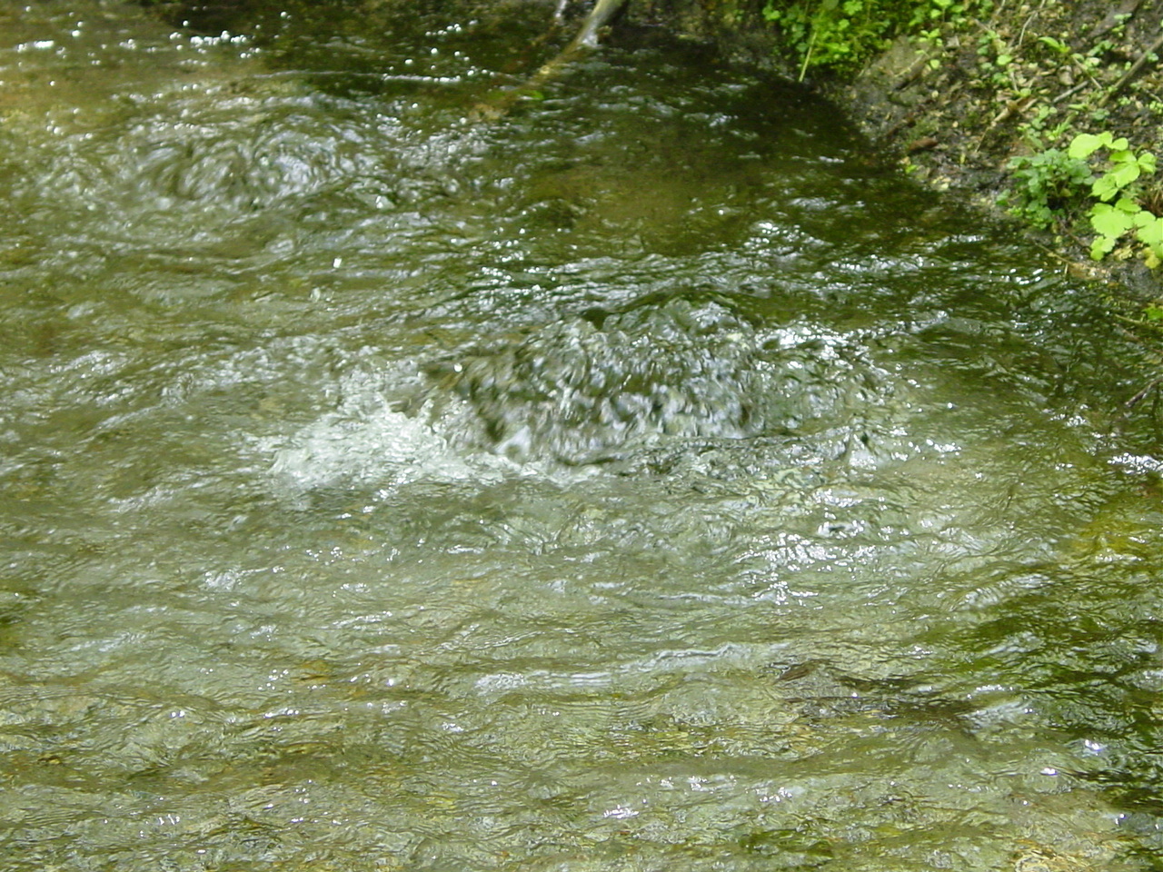 ナイベツ川湧水