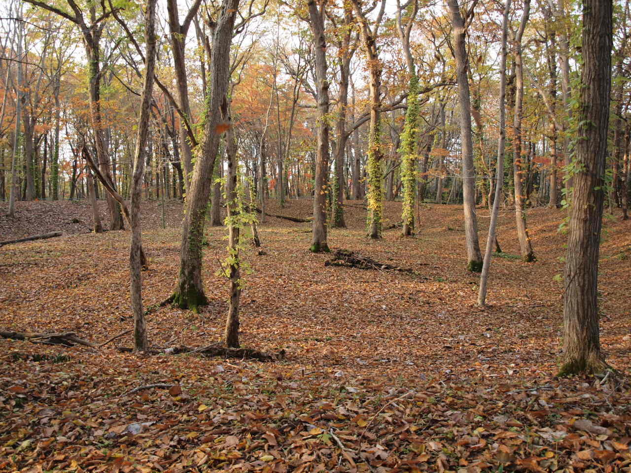 PA300012.JPG