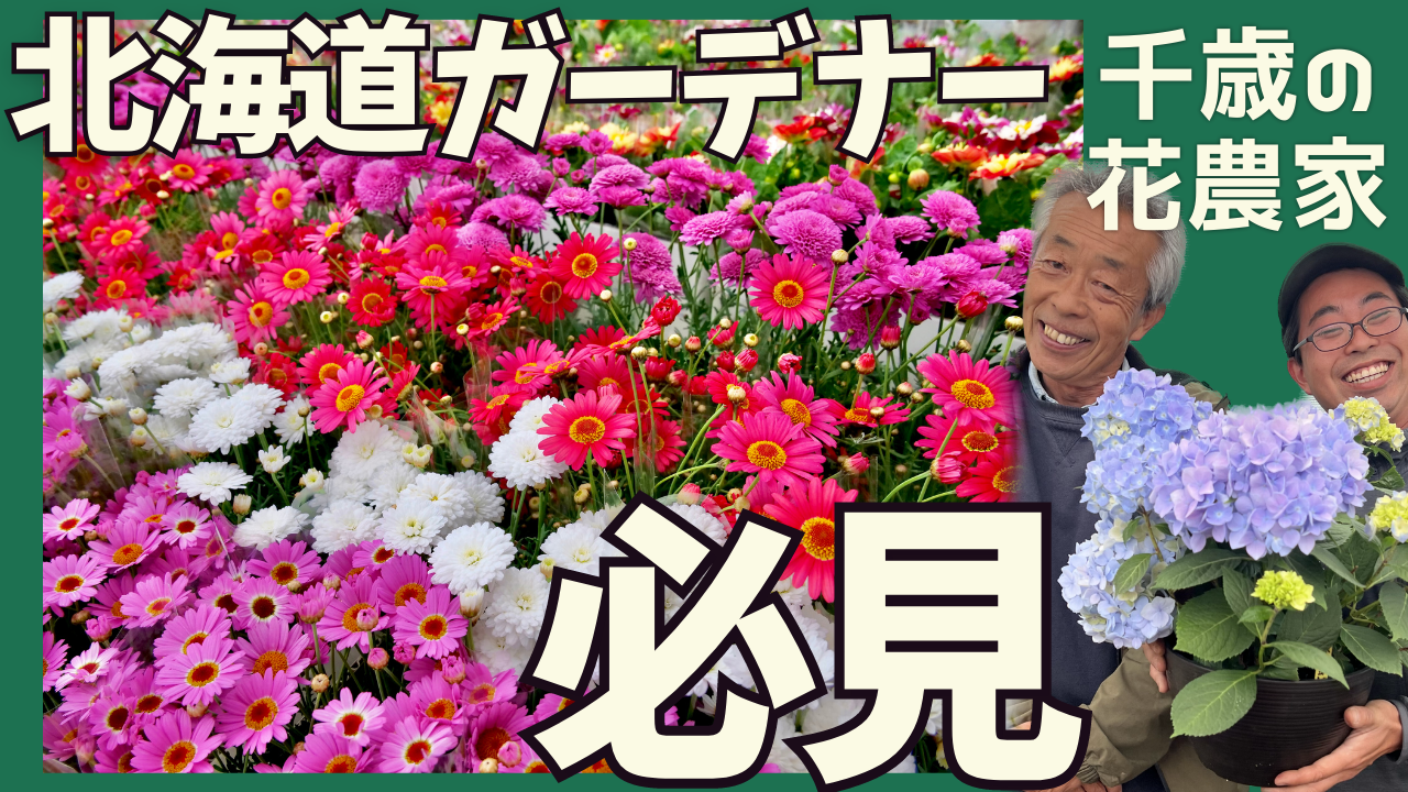 アチーヴ サムネイル.png