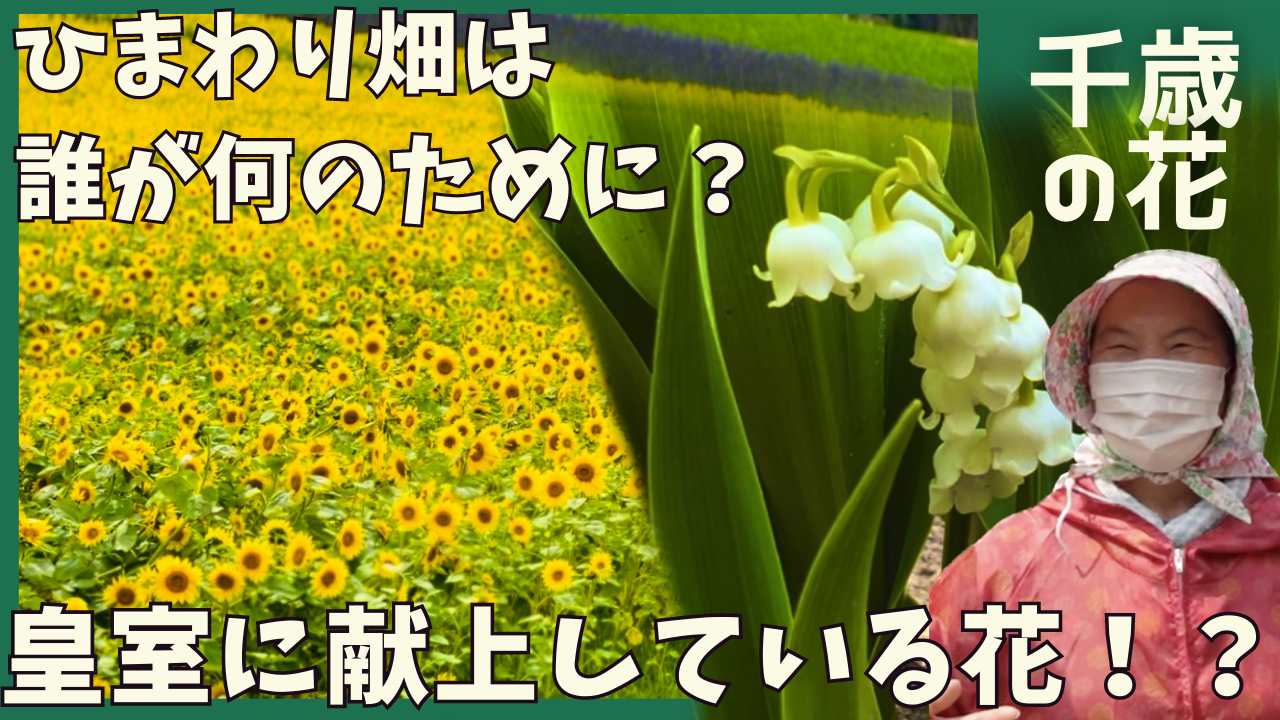 千歳の花 サムネイル.PNG