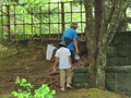 生き物を採集（R6名水ふれあい公園）