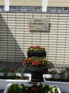IMG_1239 (1).JPG