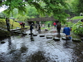 8月2日生き物調べ内別川その２