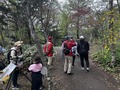 5月11日自然観察会