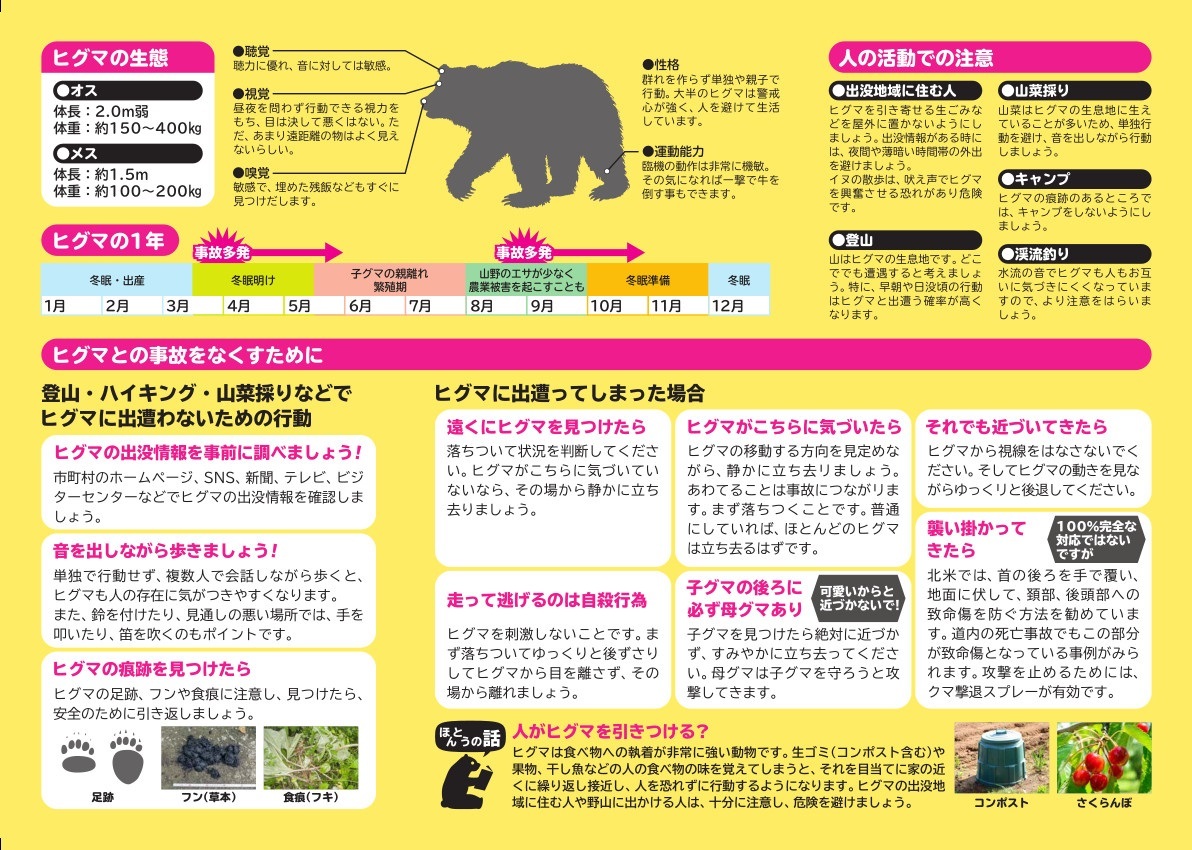 ヒグマリーフレット_ヒグマとのおつきあい2.jpg