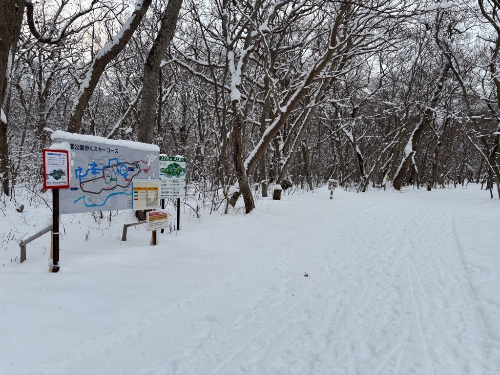 青葉公園歩くスキーコース写真