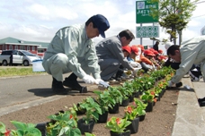 花の苗を植える市長