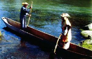 アイヌ民族伝統捕獲漁法