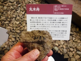 展示品(丸木舟の周りに敷き詰められた6000年前の石の錘の破片(実物))