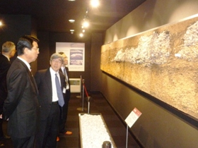 展示品(縄文時代の6000年前の貝塚断面の実物)