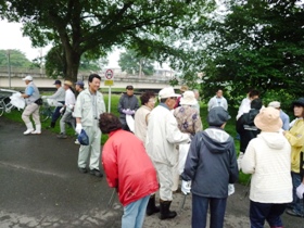 サケのふるさと館附近での作業のようす