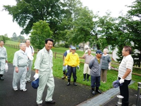 ハルニレ公園附近での作業のようす