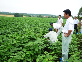 豆類を実際に手にとり、生育状況を確認する市長、市議会議員