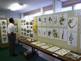 展示会場のようす