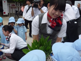  すずらんの香りは如何