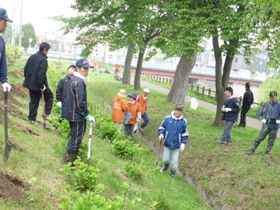 フラワーマスターの会によるアジサイの植栽が行われました 