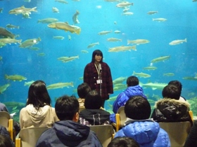 千歳第二小  畠山実希さんあいさつ