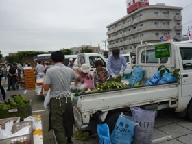 皮付きとうきび