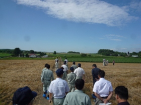 地平線の見える東丘の圃場