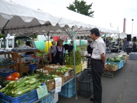 駒里産野菜の数々