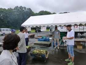 千歳産の新鮮野菜が並びました