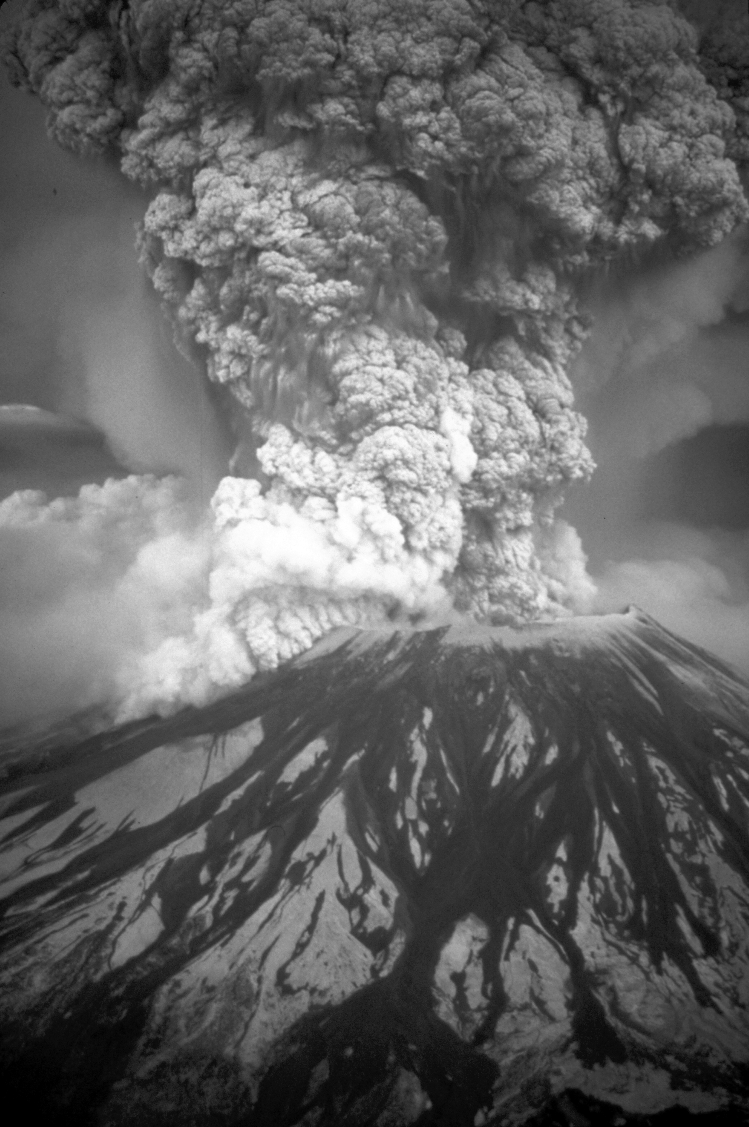 樽前山の大規模噴火と同程度の噴火による噴煙??（セントへレンズ火山1981年噴火??c米国地質調査所）