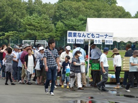 牛乳の無料配布も行っていました