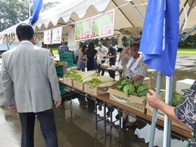 地元の生鮮野菜