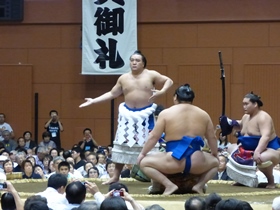 横綱土俵入り（日馬富士）