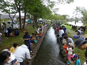 5,000匹のヤマメが放流された釣り堀